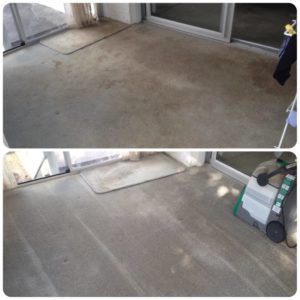 Orewa carpet cleaning company